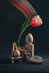 concept spring. freakebana. Trendy card with red-white tulip and Easter eggs. easter concept....