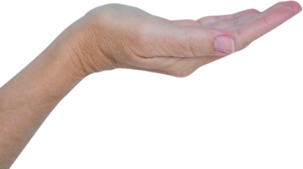 Close up view of hand 