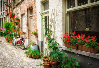 Streets of Brugge with flowers