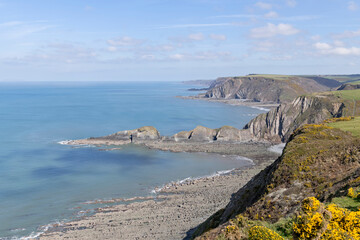 Fototapeta na wymiar Devon-Cornwall border Marsland Mouth on the South West Coast Path