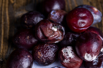 A bunch of spoiled mold-covered plums, close up