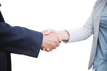 Corporate people doing handshake