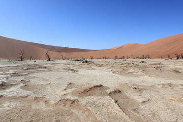 sossusvlei