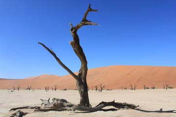 sossusvlei