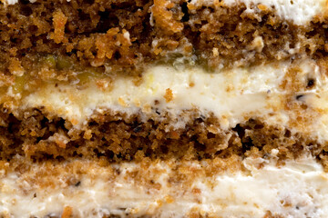 a cut piece of multi-layered honey cake with creamy filling