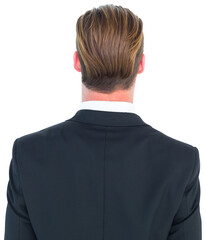Rear view of elegant businessman in suit posing
