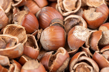 debris left after peeling the hazelnuts from the shell