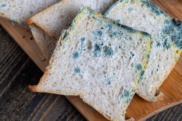 spoiled mold-covered dangerous pieces of bread