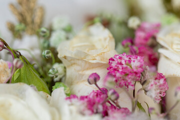A composition of different types of flowers