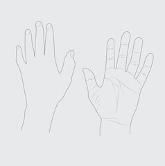 Hands Put on Cream, Elegant man hands, Realistic Gestures, Hand Line Art, Vector Illustration, male hand outline; hand gesture; vector isolated black and white drawing illustration, hand line art.