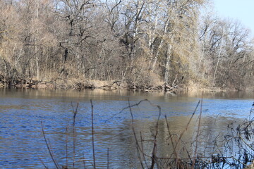 the nature of Ukraine, the river bank