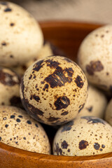 a large number of small spotted quail eggs on the table