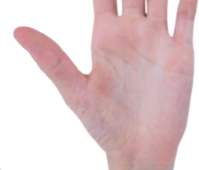 Gordijnen Hand gesturing © vectorfusionart