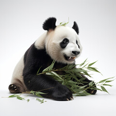 Naklejka premium Animal Stock Images