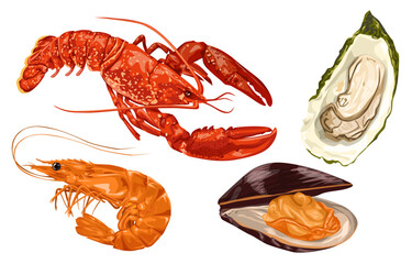 Cartoon set of seafood. gourmet food, crayfish, shrimp, lobster, oysters, mussels, clams, lobster dinner, ocean red meat recipe, healthy food, neat vector illustration