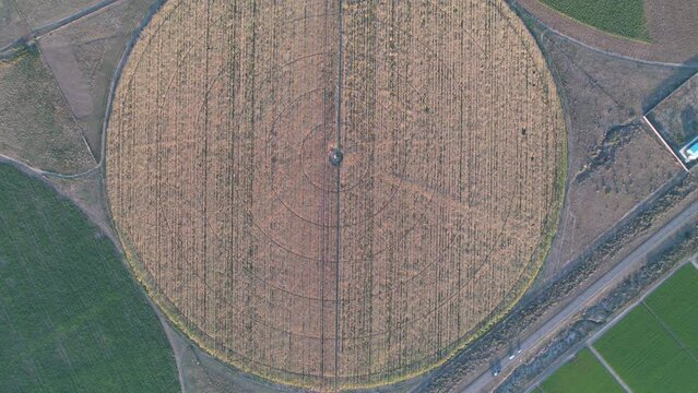 Aerial view of circular field in Argentina. drone video