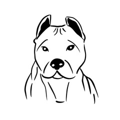 Vector illustration hand drawn Cane Corso with black lines