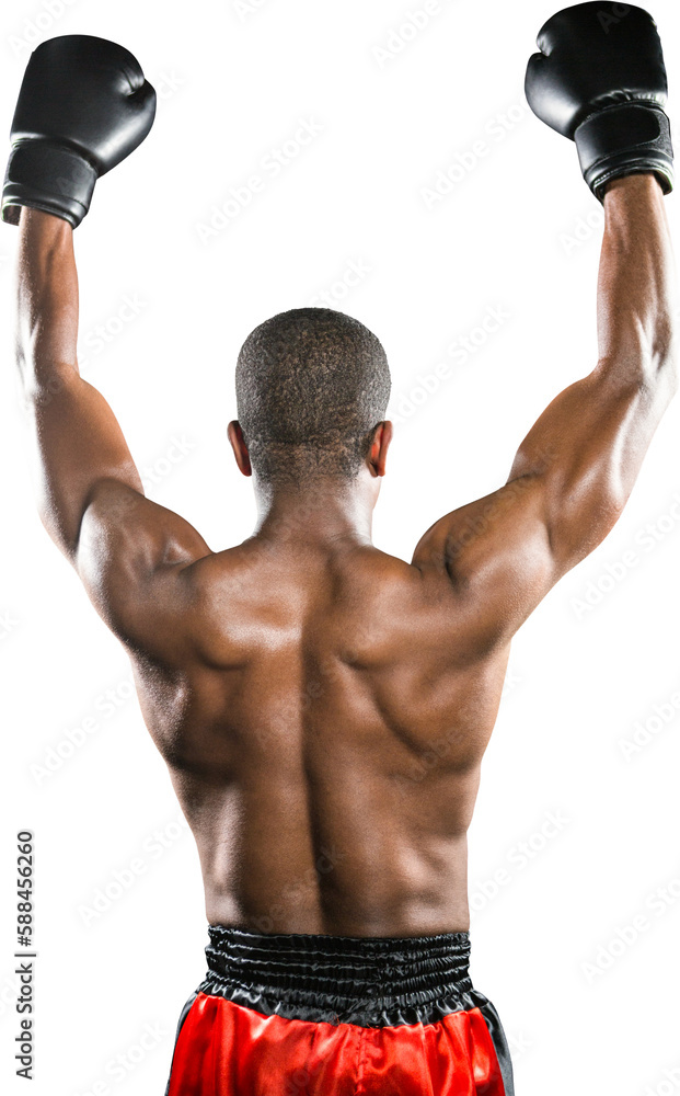 Canvas Prints Boxer posing after victory