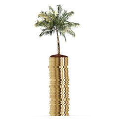 Coconut tree and stack of gold coins