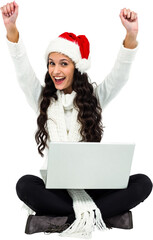 Portrait of woman with laptop rejoicing