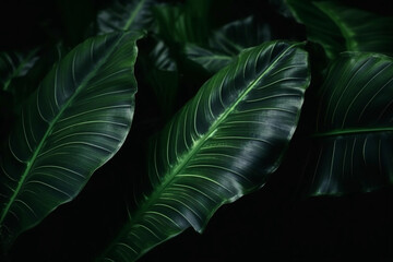 Detailed Tropical Leaves on a dark Backround. High Details. Realism. Creative AI Wallpaper. Created by generative AI