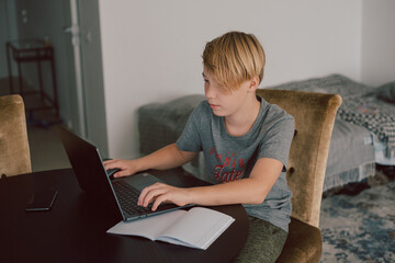 Teenager boy doing his homework at desk indoors