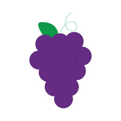 Grapes on white background. Bouquet of purple grapes. Flat. Vector illustration