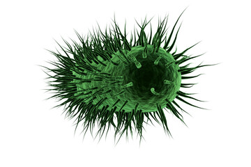 Digitally image of green spiky bacteria