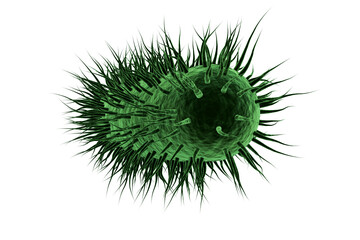 Digitally image of green spiky bacteria - obrazy, fototapety, plakaty