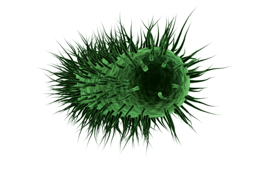 Digitally image of green spiky bacteria