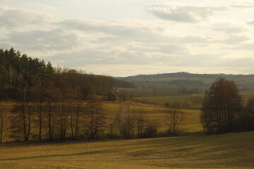 autumn landscape with trees