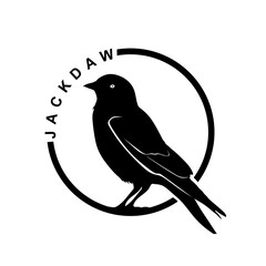 Jackdaw circle logo design. Bird symbol in minimal style. Jackdaw bird sign isolated on white background. Vector illustration
