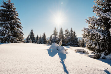 Alpine mountains landscape with white snow and blue sky. Sunset winter in nature. Frosty trees under warm sunlight.  Hiking winter to kralova hola, low tatras slovakia landscape © Zedspider