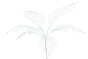 3d illustration of plant 