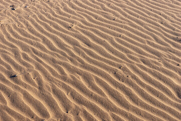 Wavy sandy background. Beach sand texture
