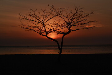 Fototapeta na wymiar dramatic sunset on the beach 