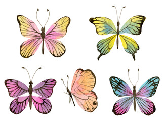 Set of watercolor colored butterflies. Hand drawn watercolor cute butterflies. Winged insects for design.