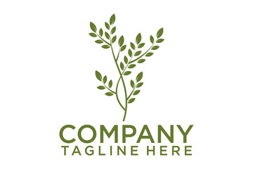 Olive oil logo with modern emblem line art style with combined leaf, water, olive branch and leaf drupe Premium Vector