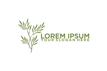 Olive oil logo with modern emblem line art style with combined leaf, water, olive branch and leaf drupe Premium Vector