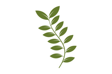 Obraz premium vintage olive branch logo and badge design