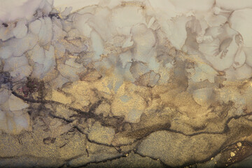 Alcohol ink and watercolor blot. Art Smoke abstract beige, brown and gold glitter color background. Marble texture.