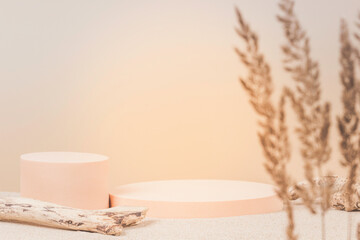 Two round beige platform podiums, dry tree twigs on white beach sand with dry bent plant in...