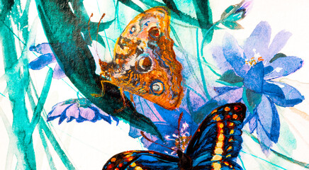 Butterflies and a flower closeup, watercolor on white background.