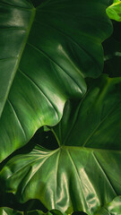 green leaf texture