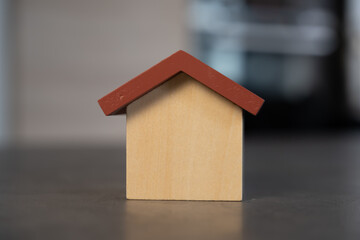 Obraz na płótnie Canvas petite maison en bois avec un toit rouge