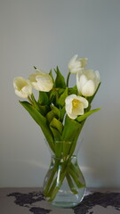 Bukiet tulipanów białych rośliny wiosenne dzień kobiet