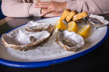 open oysters on a plate with bread and lemon, sea food, on a dark surface