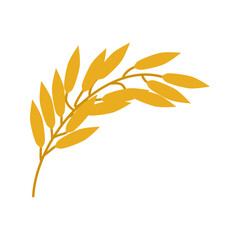 rice grain wheat, barley, illustration, illustration for agricultural industry