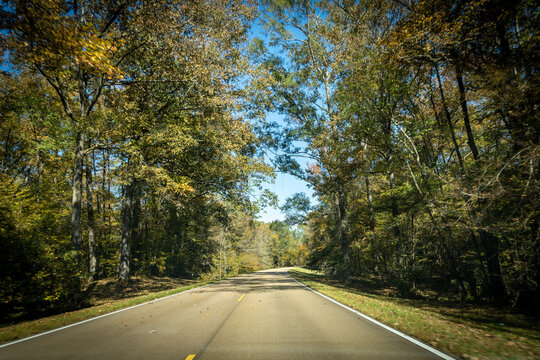 Natchez Trace Parkway a National Park Service scenic road and  old route from Natchez, Mississippi to Cumberland River in Tennessee. No traffic on a road lined with autumn trees and fall foliage. 