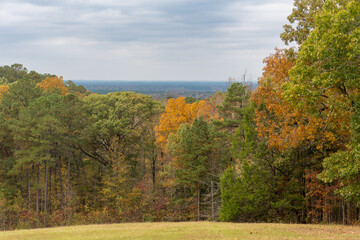 Autumn Leaves at Jeff Busby Site and Little Mountain trail and summit Road. Natchez Trace site named after U.S. Congressman Thomas Jefferson Busby who authorized a survey of Old Natchez Trace.